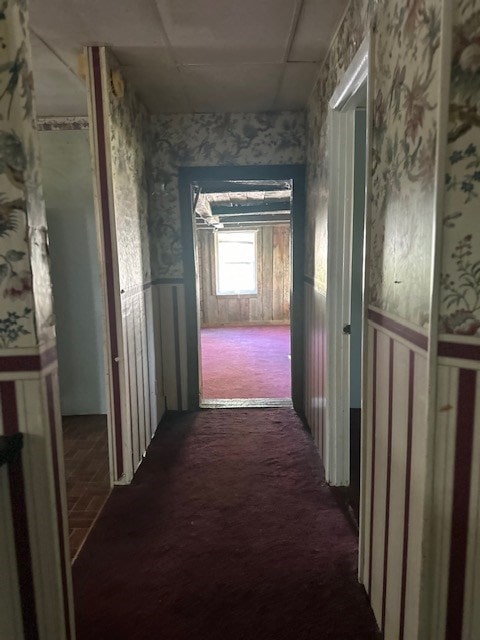 hall featuring carpet flooring and wallpapered walls