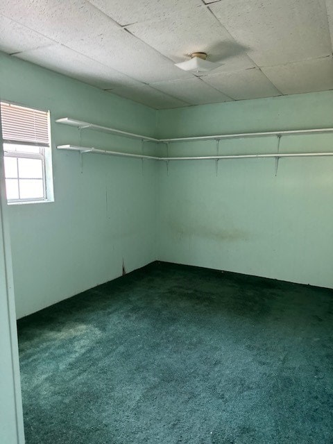 below grade area with carpet and a drop ceiling