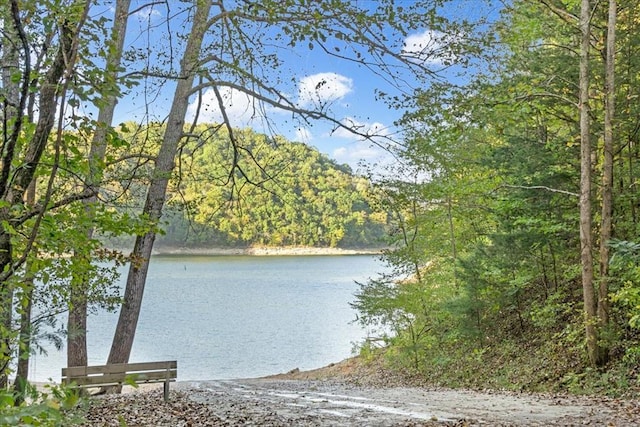 Listing photo 2 for 0 Lakeside Dr, Smithville TN 37166