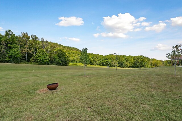 view of yard featuring a view of trees