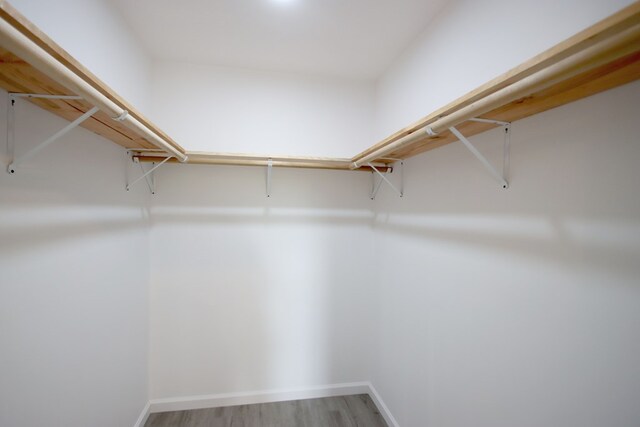 spacious closet featuring wood finished floors