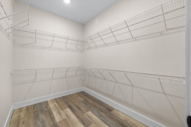 walk in closet with wood finished floors