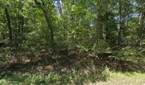 9042 Mineola Trl, Crossville TN, 38572 land for sale