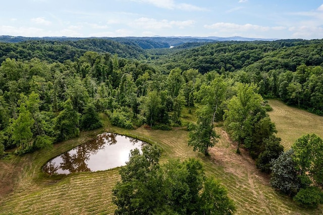 30ACRES Willow Grove Hwy, Allons TN, 38541 land for sale