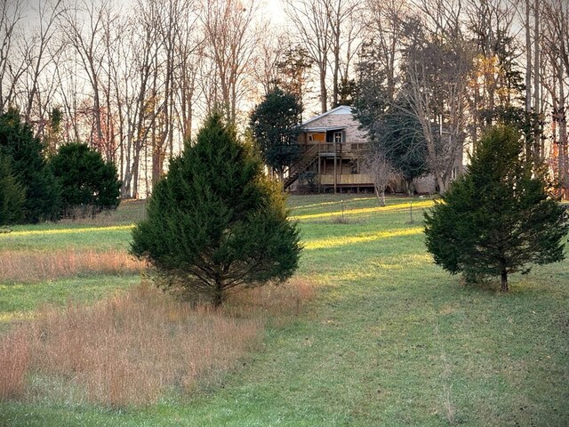 view of yard featuring stairway and a wooden deck