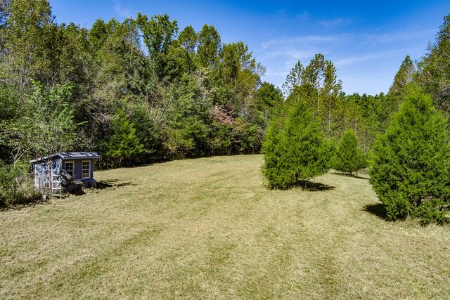 view of yard featuring a storage unit, an outdoor structure, and a view of trees