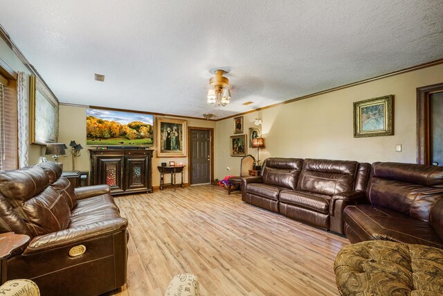 living room with ornamental molding, light wood-type flooring, and a textured ceiling