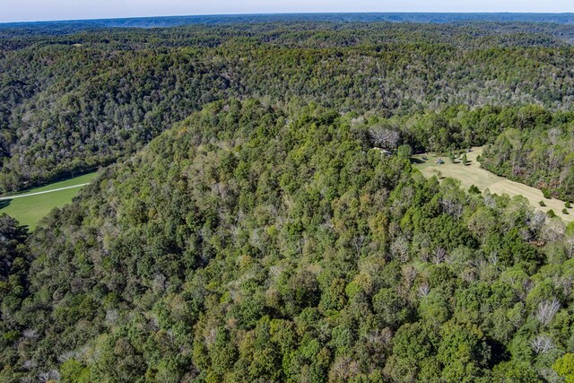 aerial view with a view of trees