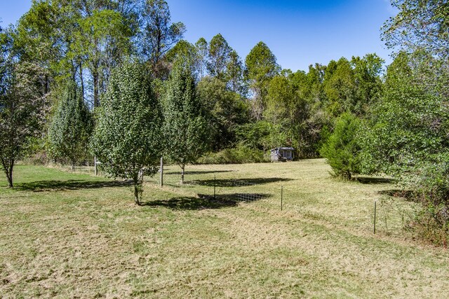 view of yard featuring a shed and an outbuilding