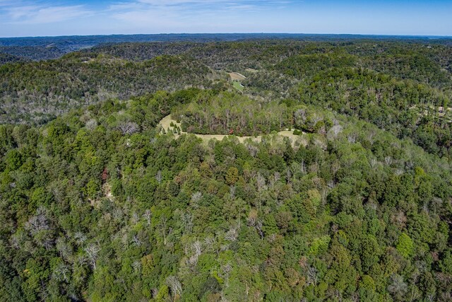 drone / aerial view with a view of trees