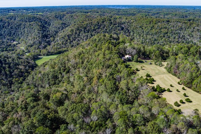 bird's eye view with a wooded view