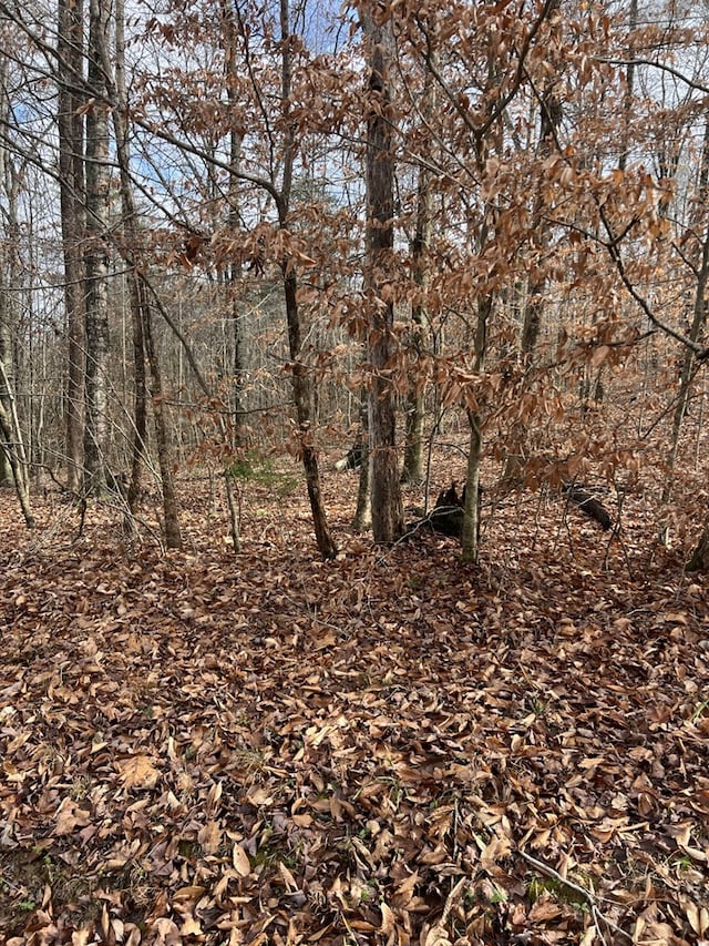 Listing photo 3 for 00 Rocky Top Rd, Byrdstown TN 38549