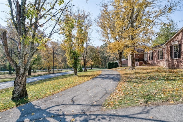 view of street with driveway