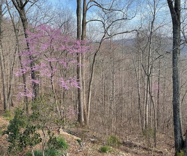 view of nature featuring a view of trees