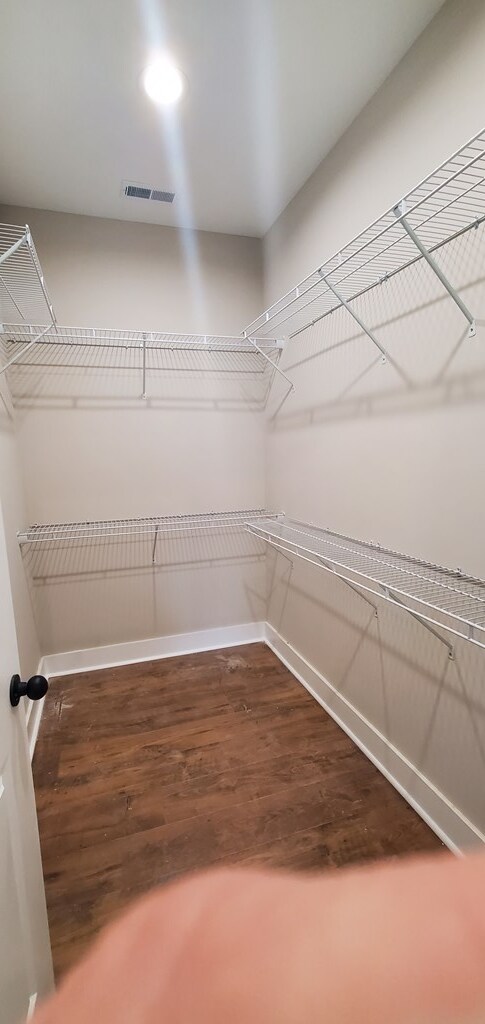 walk in closet with visible vents and wood finished floors