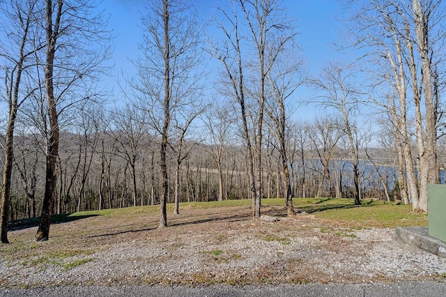 0 Wilson Cir, Smithville TN, 37166 land for sale