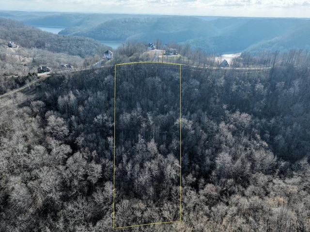 0 Coconut Ridge Rd, Smithville TN, 37166 land for sale