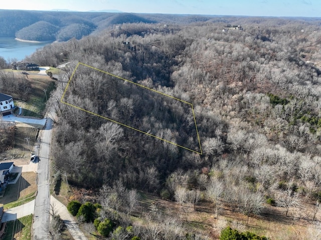 Listing photo 2 for 0 Coconut Ridge Rd, Smithville TN 37166