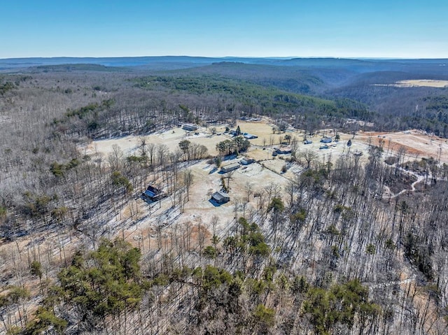 drone / aerial view featuring a mountain view