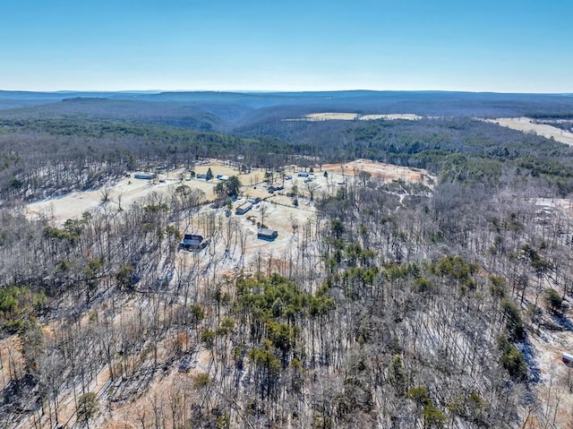 birds eye view of property featuring a forest view and a mountain view