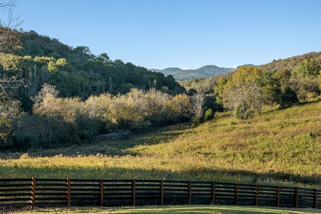 view of mountain feature