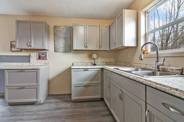 kitchen with dark wood-style floors, gray cabinets, light countertops, a textured ceiling, and a sink