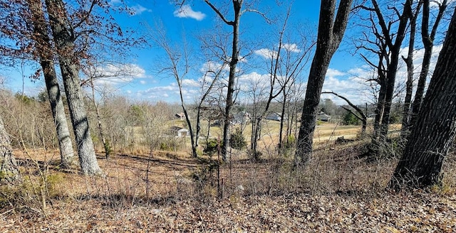 LOT54 Bunker Hill Rd, Sparta TN, 38583 land for sale