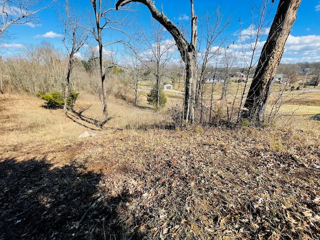 Listing photo 3 for LOT54 Bunker Hill Rd, Sparta TN 38583