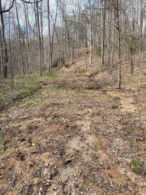 Listing photo 3 for 198 Turkey Town Rd, Hilham TN 38568