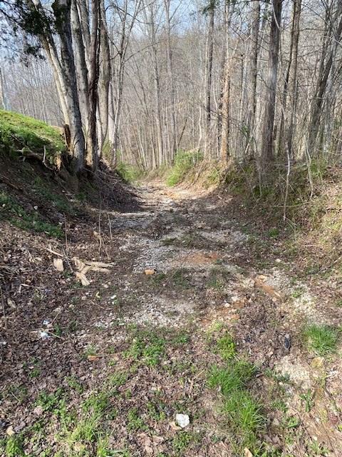 Listing photo 2 for 198 Turkey Town Rd, Hilham TN 38568