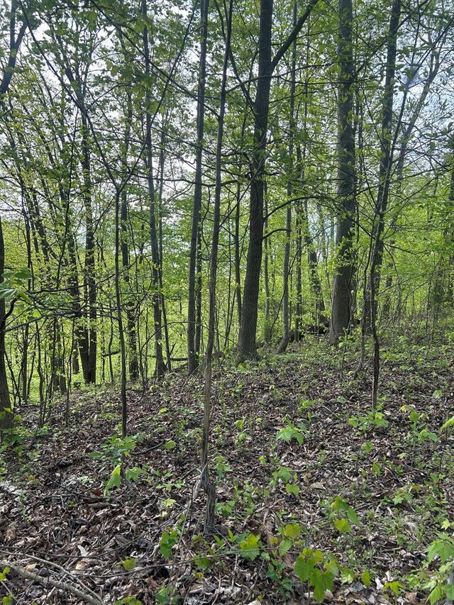 view of nature featuring a wooded view