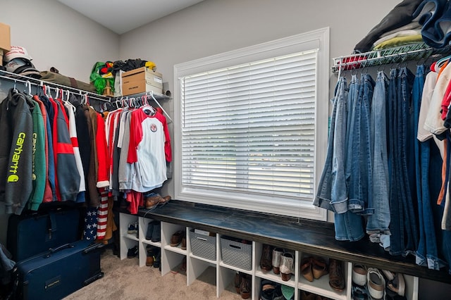 walk in closet featuring carpet