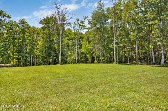 view of yard featuring a wooded view