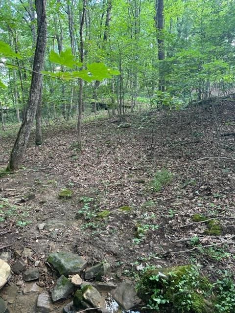 159 Sugarbush Cir, Crossville TN, 38558 land for sale