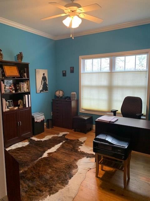 home office with crown molding, light wood-style flooring, and ceiling fan