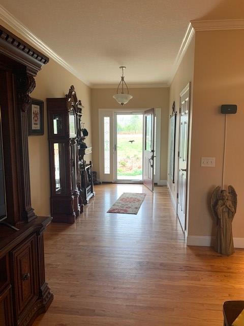 entrance foyer with baseboards, crown molding, and light wood finished floors