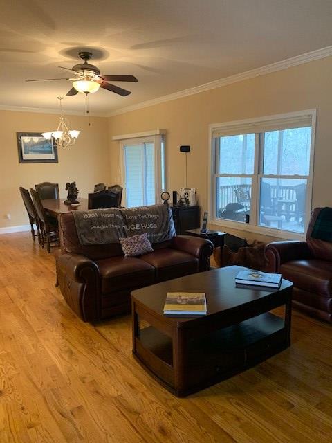 living room with ceiling fan with notable chandelier, light wood-type flooring, and crown molding