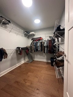 walk in closet with wood finished floors