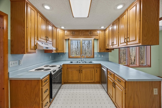 kitchen with a sink, under cabinet range hood, range with electric stovetop, a peninsula, and dishwasher