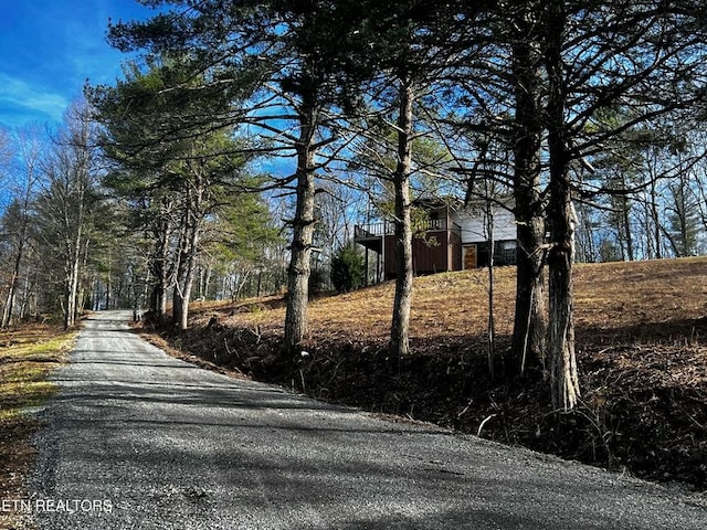 view of street featuring gravel driveway