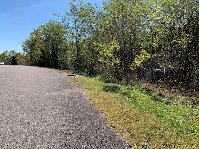 00 Davidson Rd, Smithville TN, 37166 land for sale