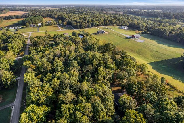 aerial view with a forest view