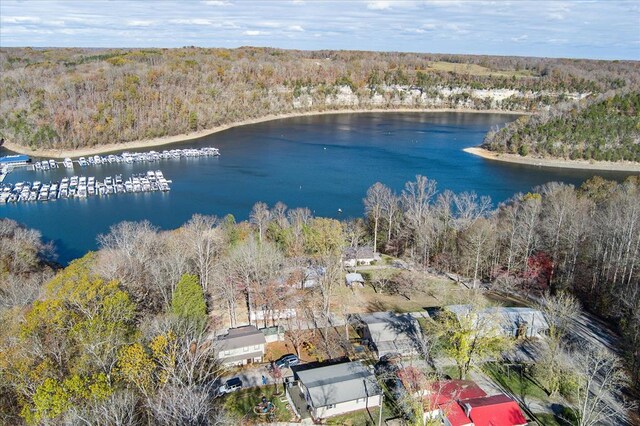 bird's eye view with a water view and a wooded view