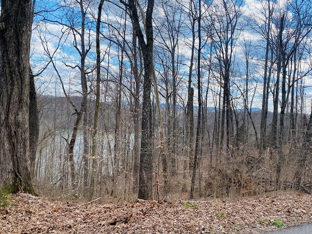 Listing photo 3 for LOT114 Faix Rd, Byrdstown TN 38549