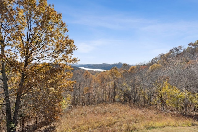 mountain view featuring a forest view