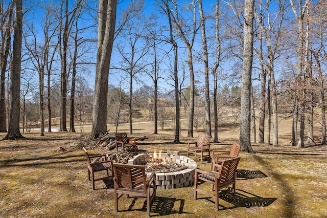 view of yard featuring a fire pit