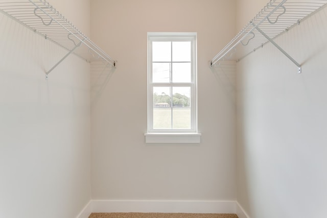 view of spacious closet