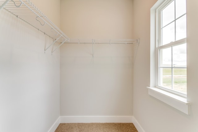 walk in closet with carpet