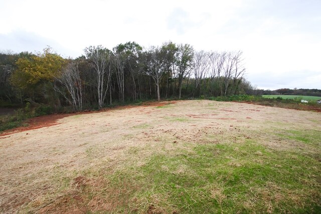 view of yard featuring a rural view