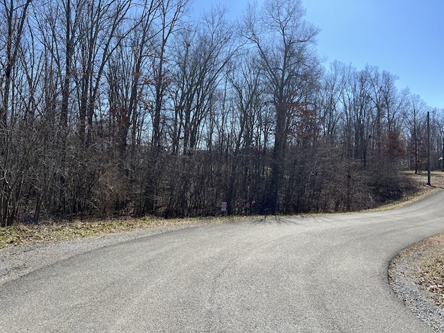 Listing photo 3 for 0 Stonecrest Loop, Crossville TN 38571